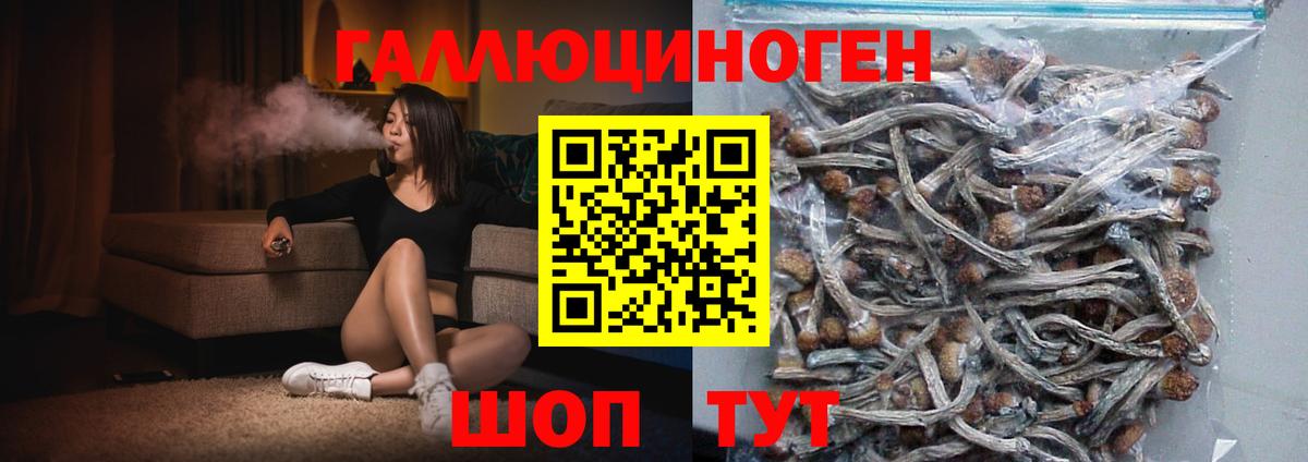 Псилоцибиновые грибы MAGIC MUSHROOMS Ахтубинск